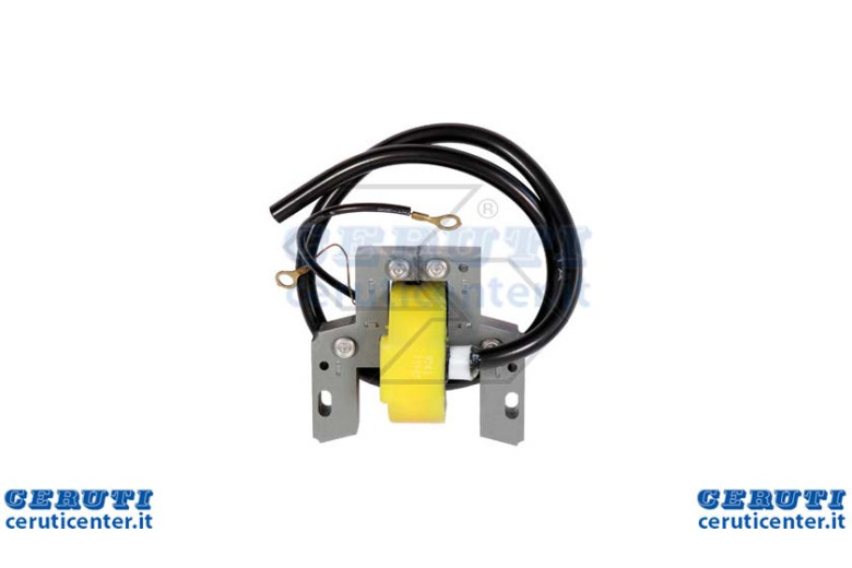 Bobine B & S 6/16 Hp