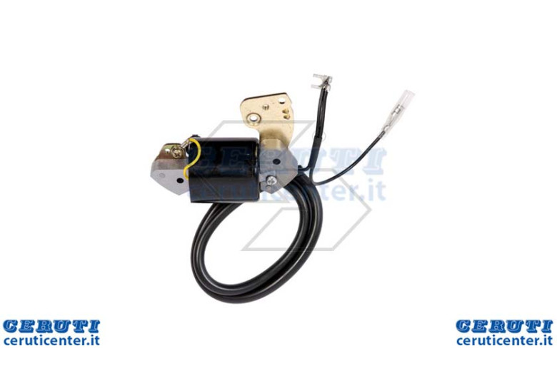 Bobine électronique Robin EC10