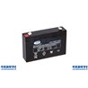 Batterie Fg10701 / NP7-6 / Wp7-6 Ah 7