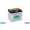 Batterie 12N24-4 Ah-24