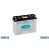 16 Ah batterie 12N16Ah