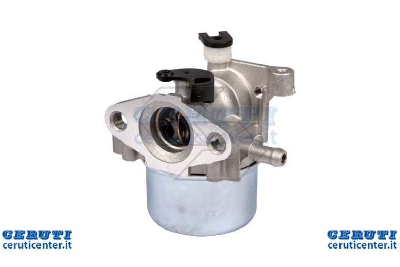 Carburateur Briggs 794304-799866