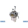 Carburatore Briggs 715668-715443
