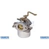 Tecumseh Carburateur HM100