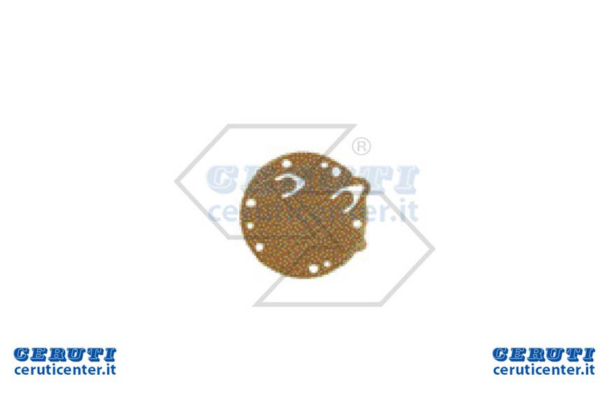 Diaphragm Pump Tillotson 237-214 Hl