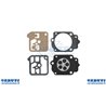Kit membrane Tillotson-Dg 1hk