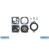 Repair kit Tillotson Rk-2-Ht