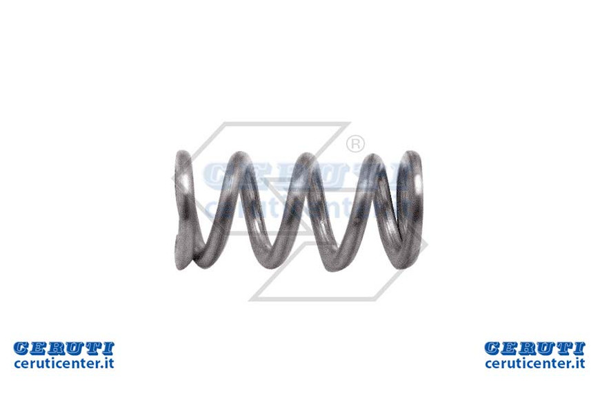 Primavera Tornillo de Carb. Walbro 98-160-7