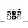 Repair Kit Walbro K10-Sdc