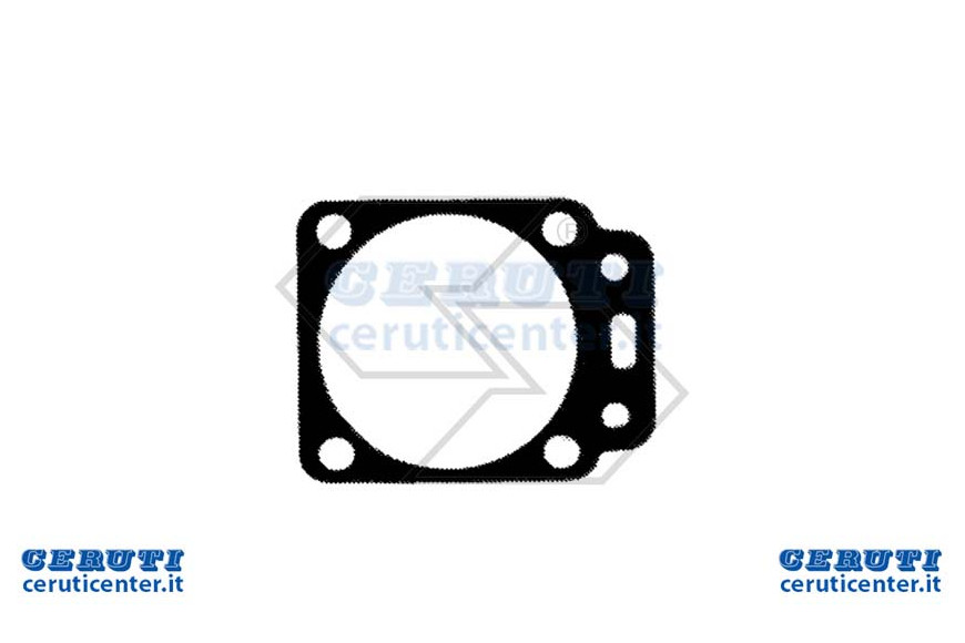 Guarniz.Membr.Princ.Walbro 92-251-8