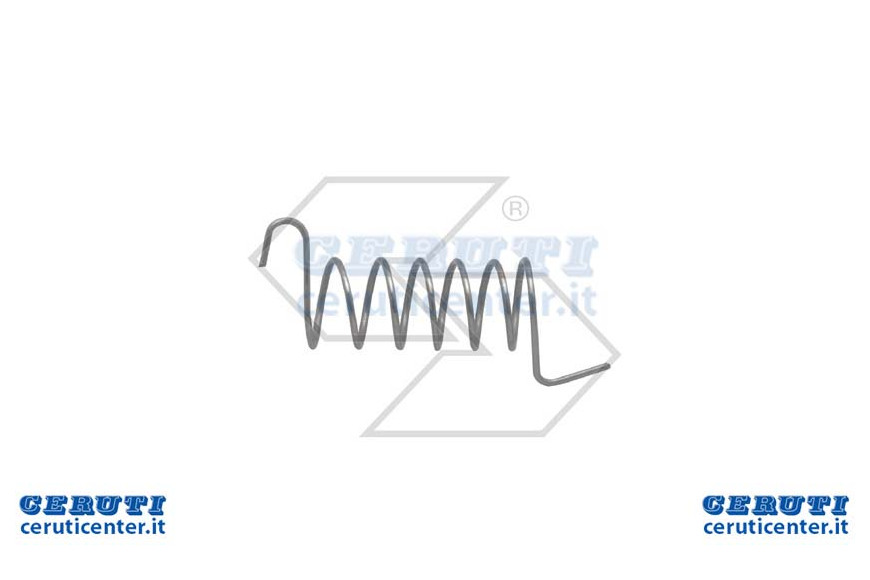 Primavera Recuperación Walbro 98-326-7