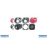 Membr.Kawasaki Kit Th23-26-34 / Tg25