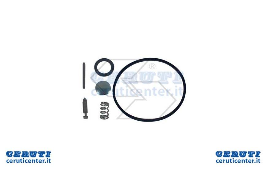 Kit de reparación de Walbro K10-Lmk