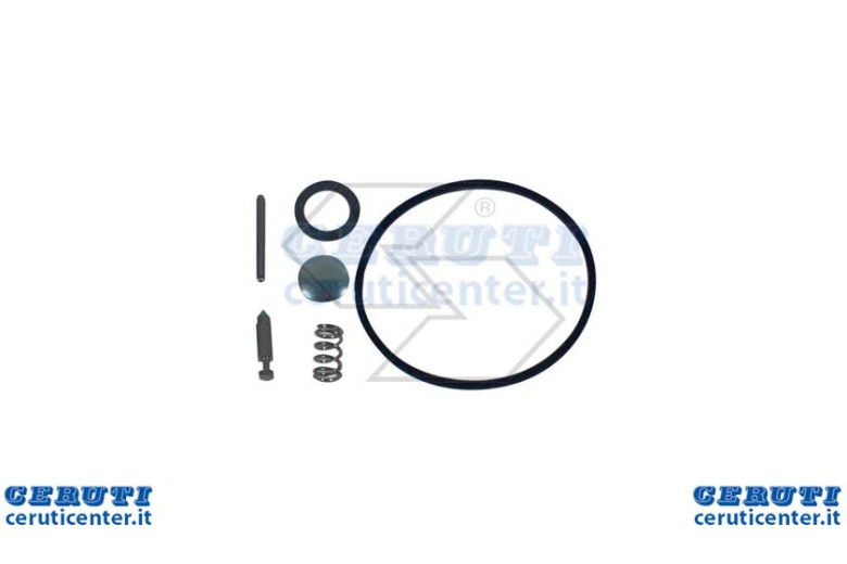 Kit de réparation Walbro K10-Lmk