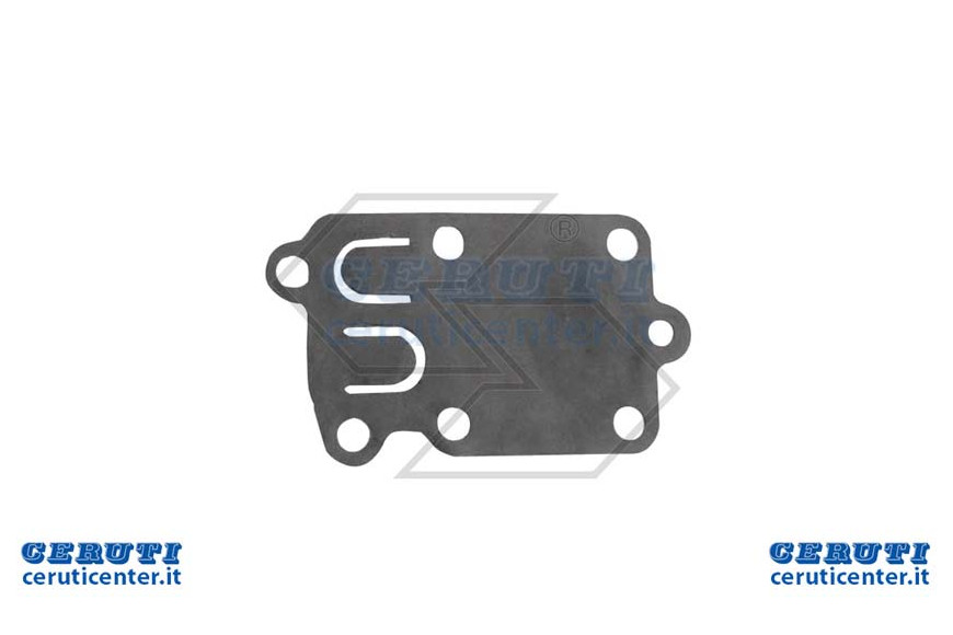 Membrane unique Xcarb B & S 3,5-5 Hp