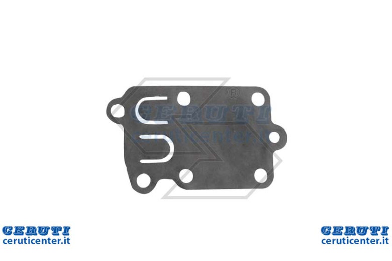 Membrane unique Xcarb B & S 3,5-5 Hp