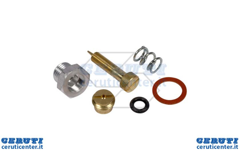 Carburation Kit B & S 299060