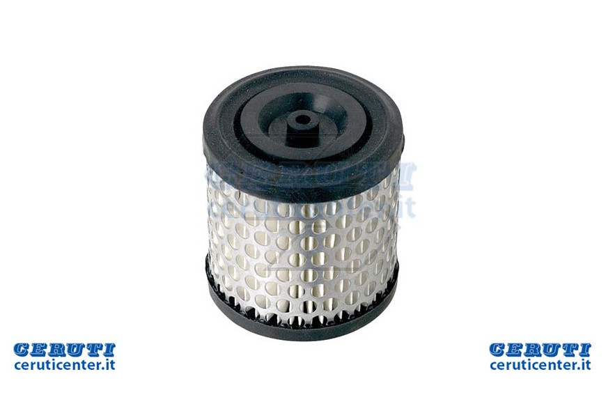 Filtro Aria B&S 396424