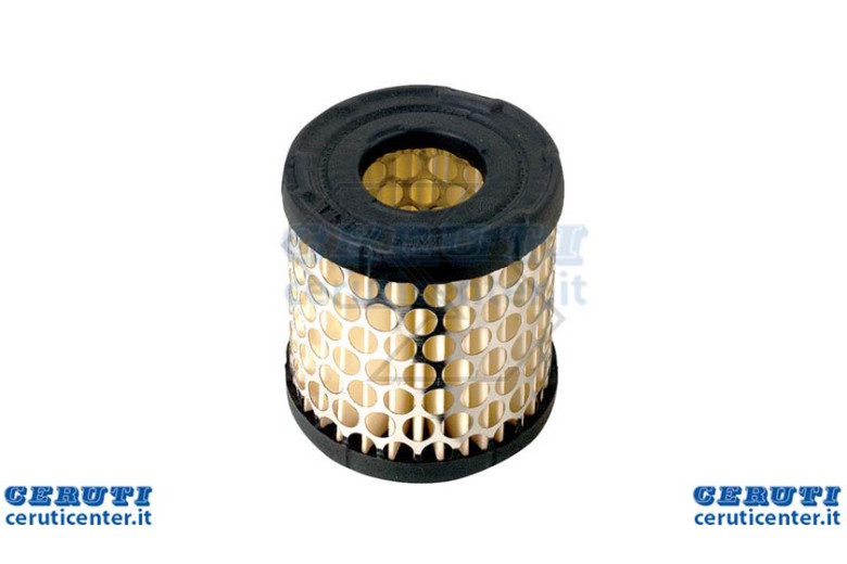 Air filter B & S 392308