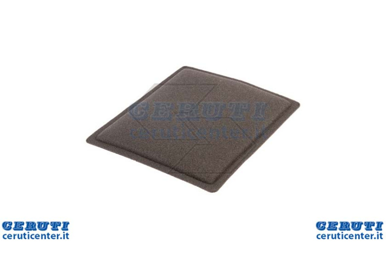 Prefiltro Aria B&S X R140221