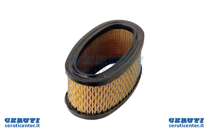 Filtro Aria B&S 11Hp Vert.