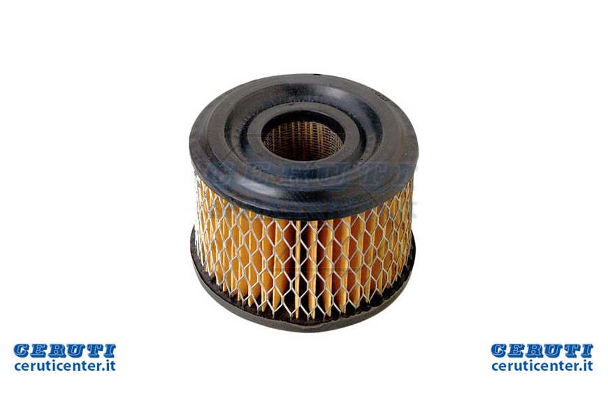 Filtro Aria B&S 390492