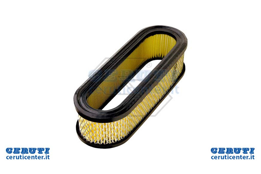 Filtro Aria B&S 394019