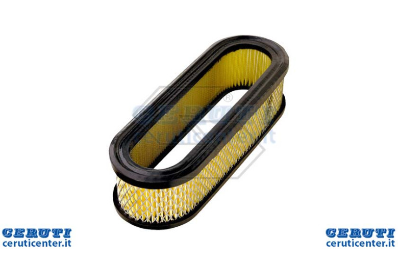 Air Filter 394 019 B & S