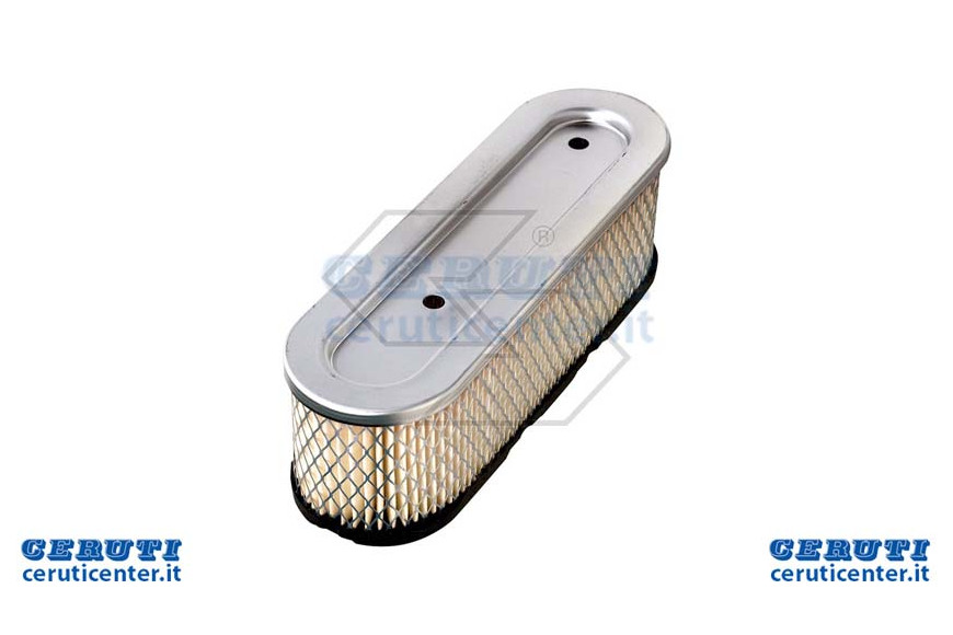 Filtro Aria B&S 491519