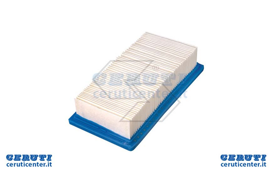 Filtro Aria B&S 9Hp