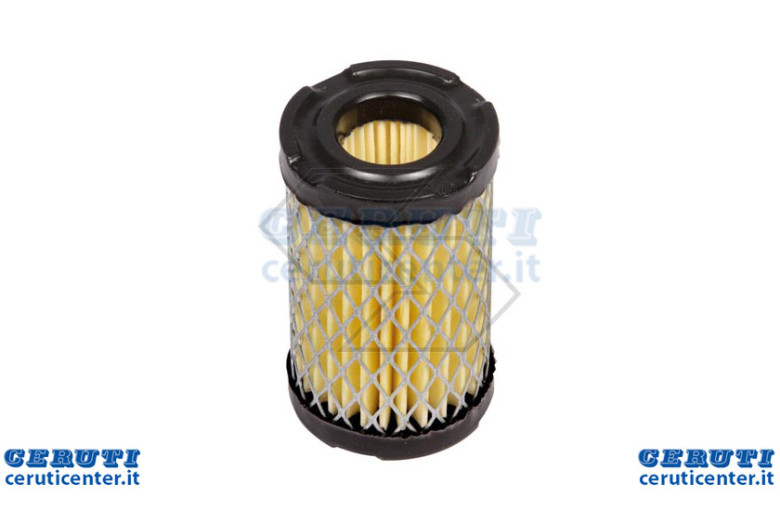 Filtro Aria Tecumseh Centura 4
