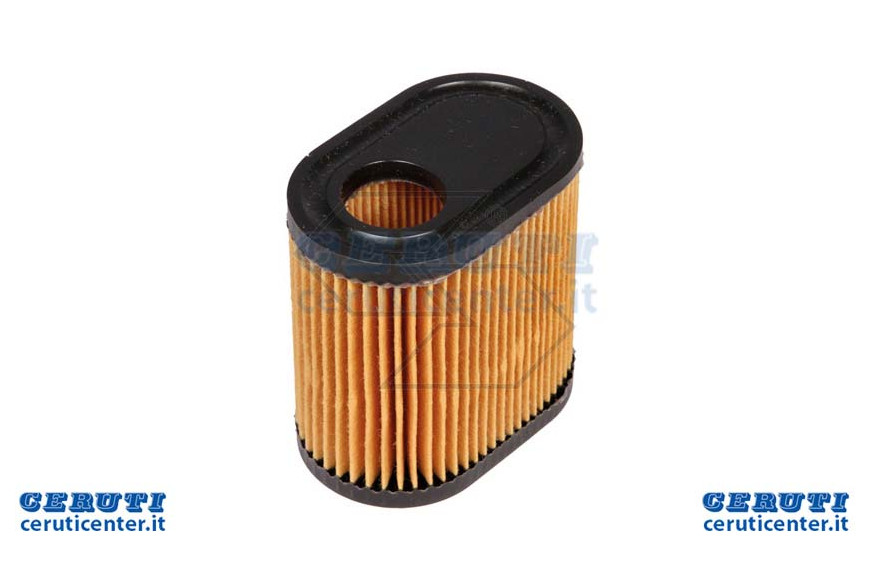 Air Filter Tecumseh 5.5 Hp