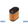 Filtro Aria Tecumseh 5.5 Hp