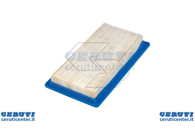 Air Filter 4 Hp B & S Vanguard