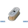 Filtro Aria Robin Ex13-17-21-7Hp