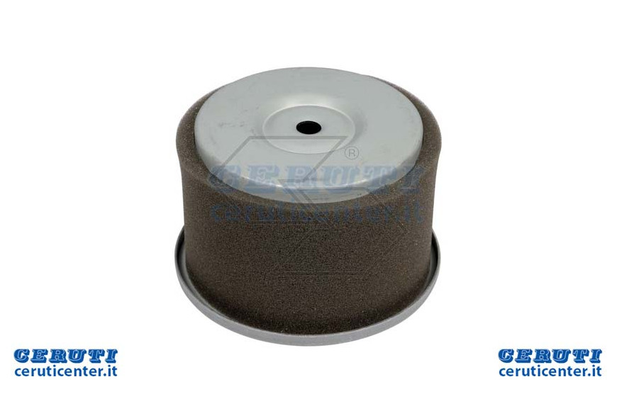 Filtro Aria Robin W1-185V-4,5Hp