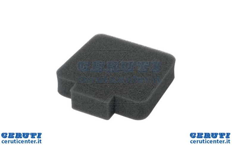 Filtro de aire Bluebird P270-P330-P360