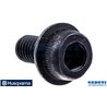 Schraube - 531002971 - Original Husqvarna Ersatzteile