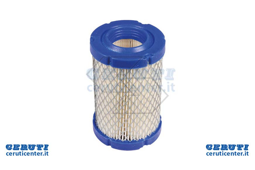 Filtro Aria Briggs & S.Intek 796031
