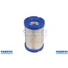 Filtro Aria Briggs & S.Intek 796031