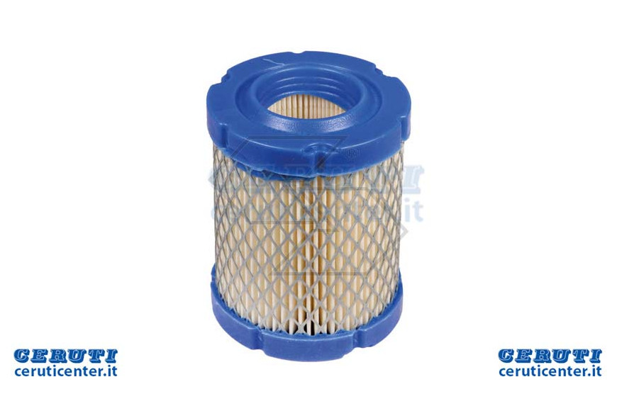 Luftfilter Briggs & S.Intek 796032