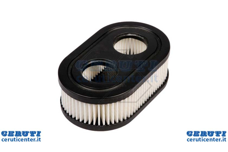 Air Filter Briggs Series 550 798452