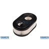 Filtro Aria Briggs Serie 550 798452