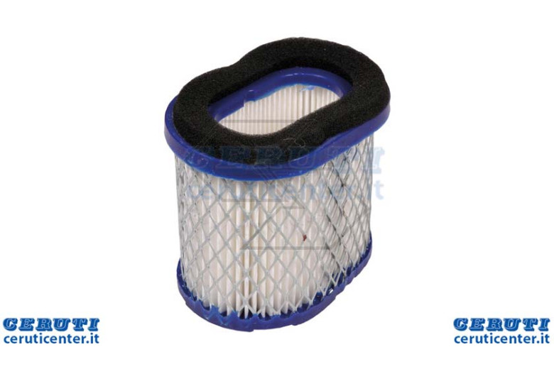 Filtro Aria B&S Intek 5,5 -6,5 Hp