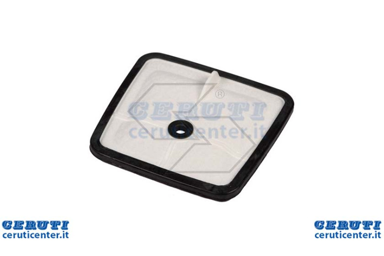 Filtro Aria Echo Cs8000-8002