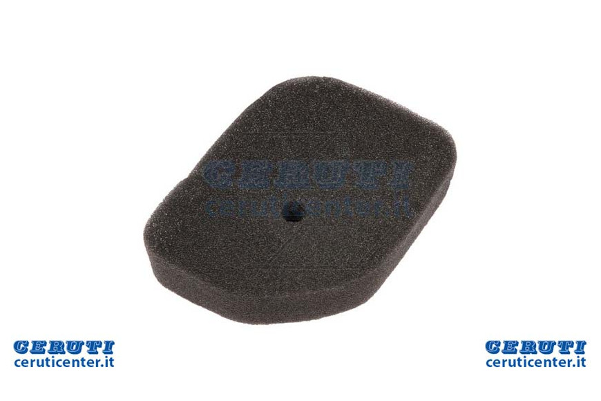 Filtro Aria Honda G100
