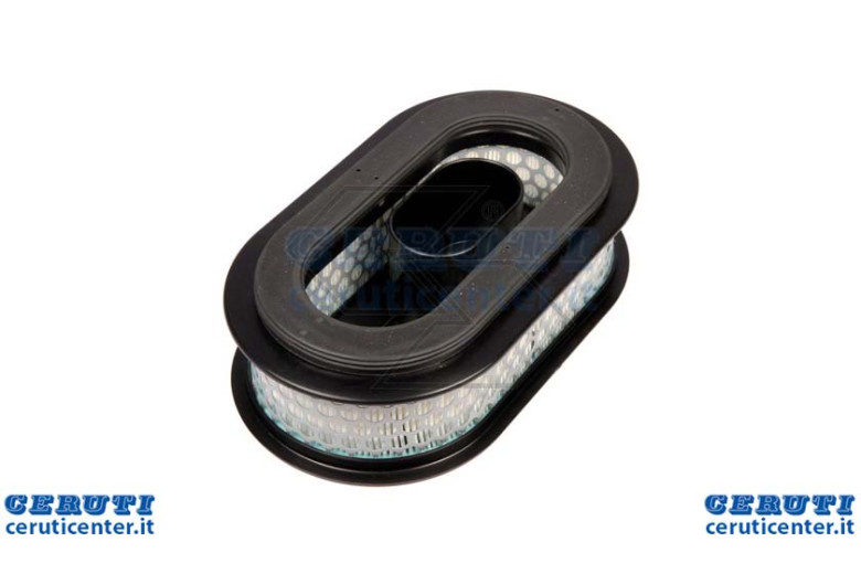 Filtro Aria Shindaiwa Ec7500W