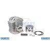 cylindre complet Kawasaki Th48