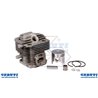 cylindre complet Kawasaki TH23