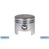 Complete Piston Kawasaki TH43